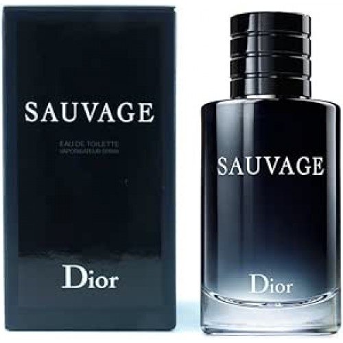 Sauvage Masculino de Christian Dior Eau de Toilette 100ml